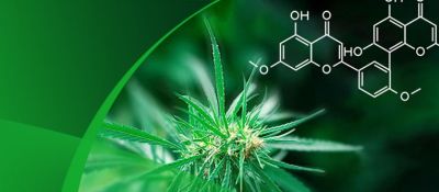 z6mg人生就是博植物提取精制、去除农残专用树脂的应用小秘诀